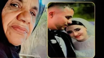 تأجيل المحاكمة.. جنايات شبين الكوم تصدر قراراً جديداً بشأن قضية عروس المنوفية